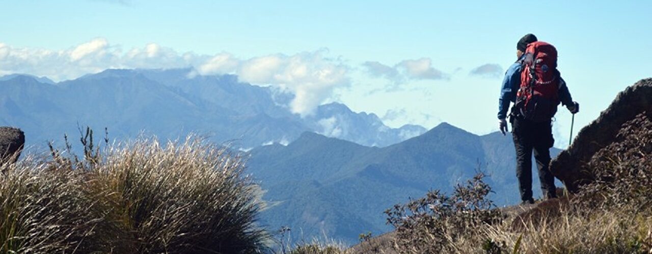 Ecoturismo: Saiba qual a importância da RedeTrilhas para o turismo do Brasil