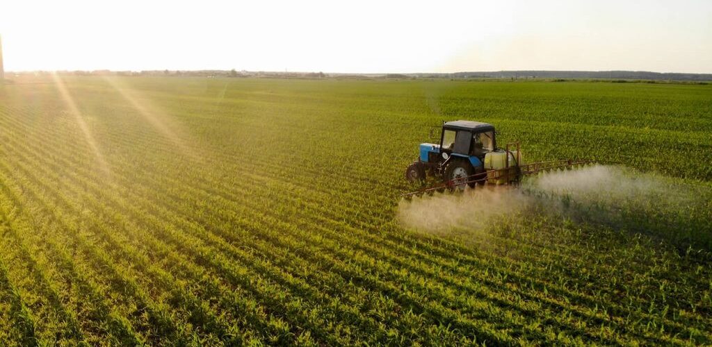 Agronegócio: BNB impulsiona produtividade nos cerrados nordestinos com R$ 40 bilhões investidos em 12 anos