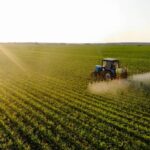 Agronegócio: BNB impulsiona produtividade nos cerrados nordestinos com R$ 40 bilhões investidos em 12 anos