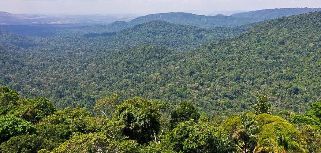 Meio Ambiente: Petrobras faz primeira compra de créditos de carbono