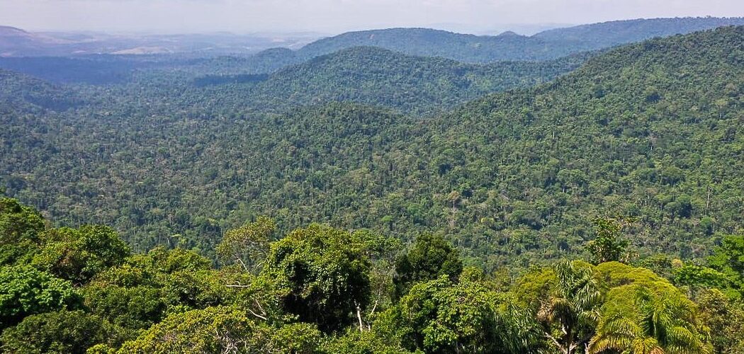 Cultura: Festivais Dia da Amazônia alertam para defesa dos biomas brasileiros