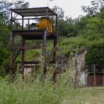 Opinião: Alimentos que vêm do Sertão