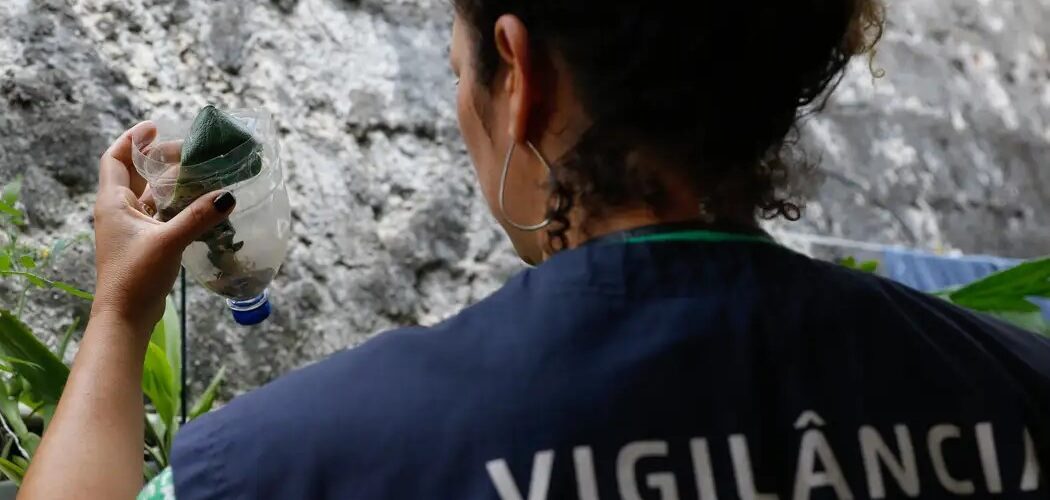 Saúde: Dengue e chikungunya levam Minas Gerais a decretar emergência