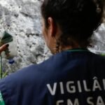 Saúde: Dengue e chikungunya levam Minas Gerais a decretar emergência
