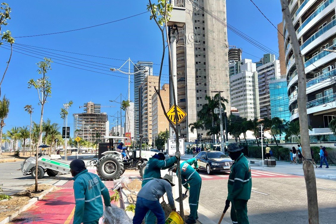 Prefeitura de Fortaleza realiza o plantio de árvores no calçadão da Praia de Iracema