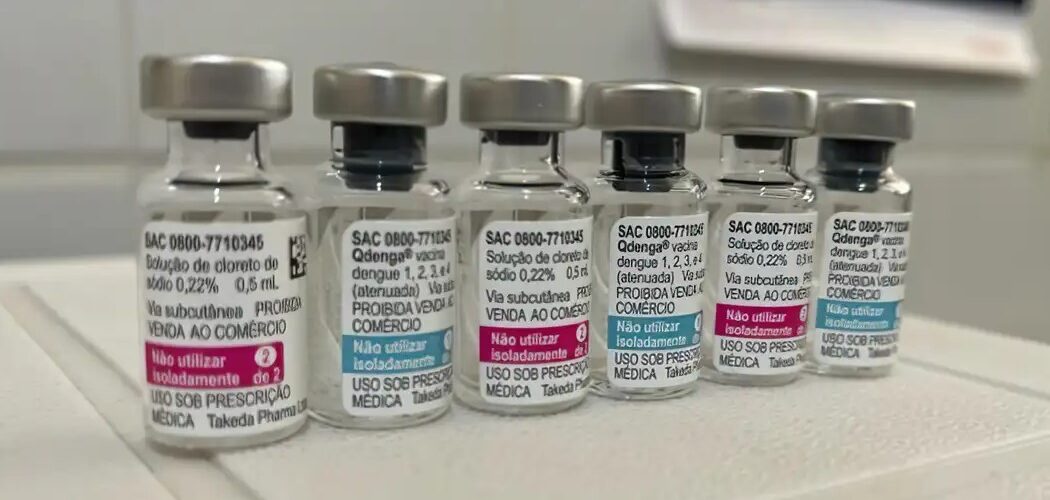 Vacinação contra dengue vai priorizar faixa etária de 6 a 16 anos