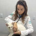 Esporotricose o gato não é o culpado