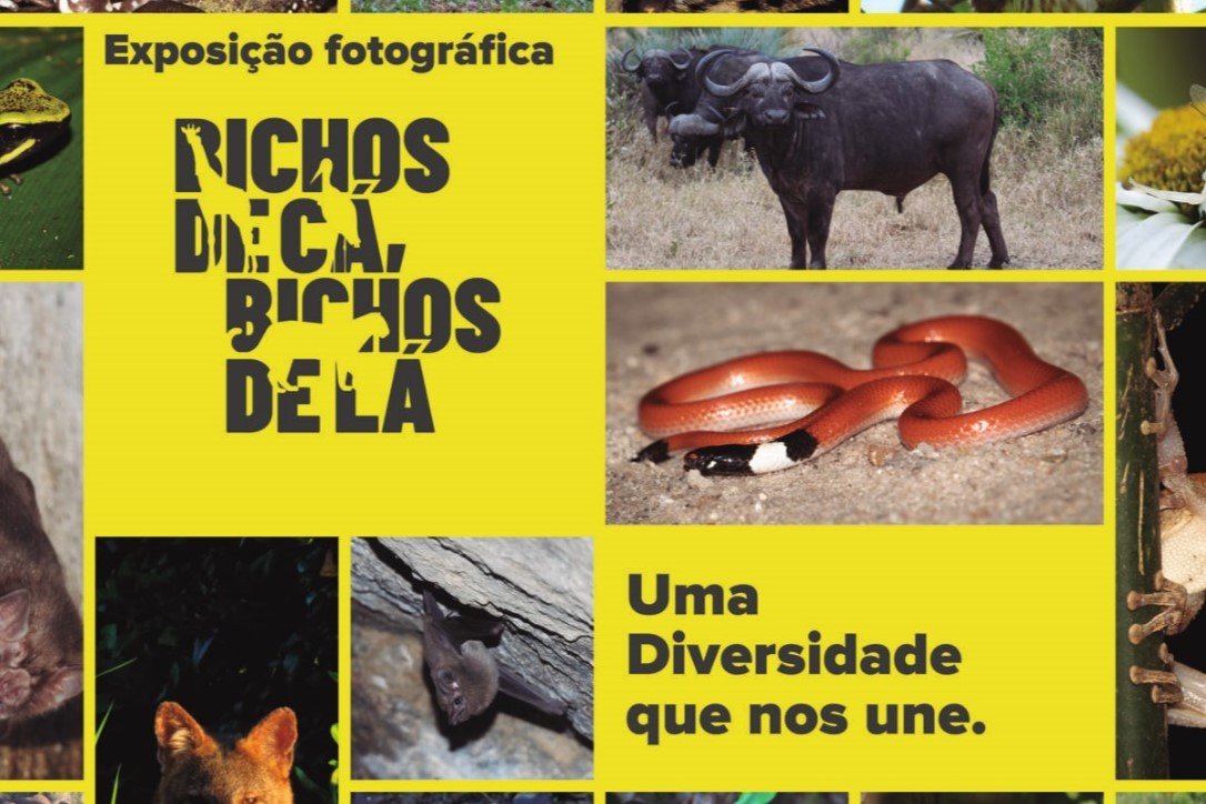 Fiocruz Ceará receberá exposição fotográfica internacional Bichos de cá, bichos de lá
