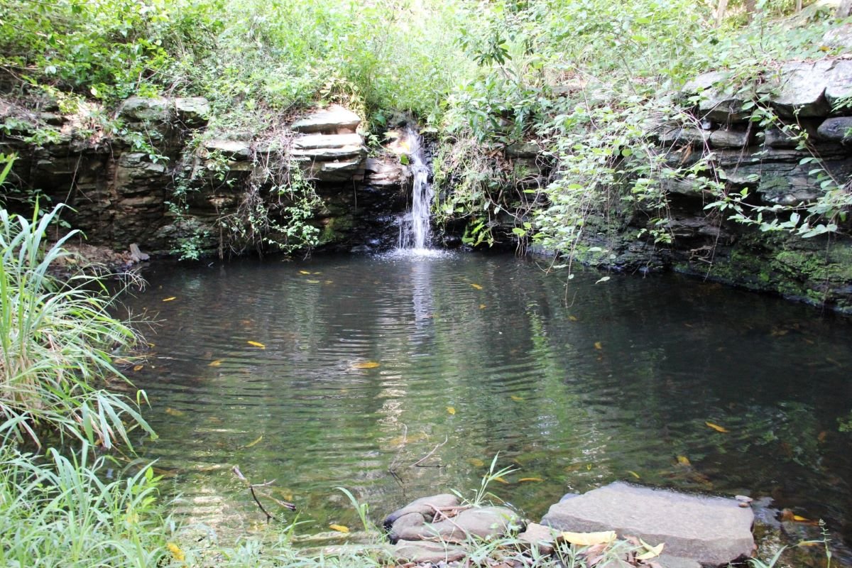 Meio Ambiente: Na semana em que se comemora o Dia da Água, Associação Caatinga revela oásis de preservação