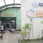 Prefeitura de Fortaleza promove mutirão de castrações durante Abril Laranja