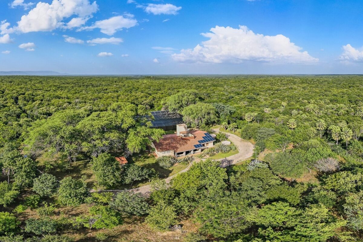 O impacto da Reserva Natural Serra das Almas na redução da poluição do ar