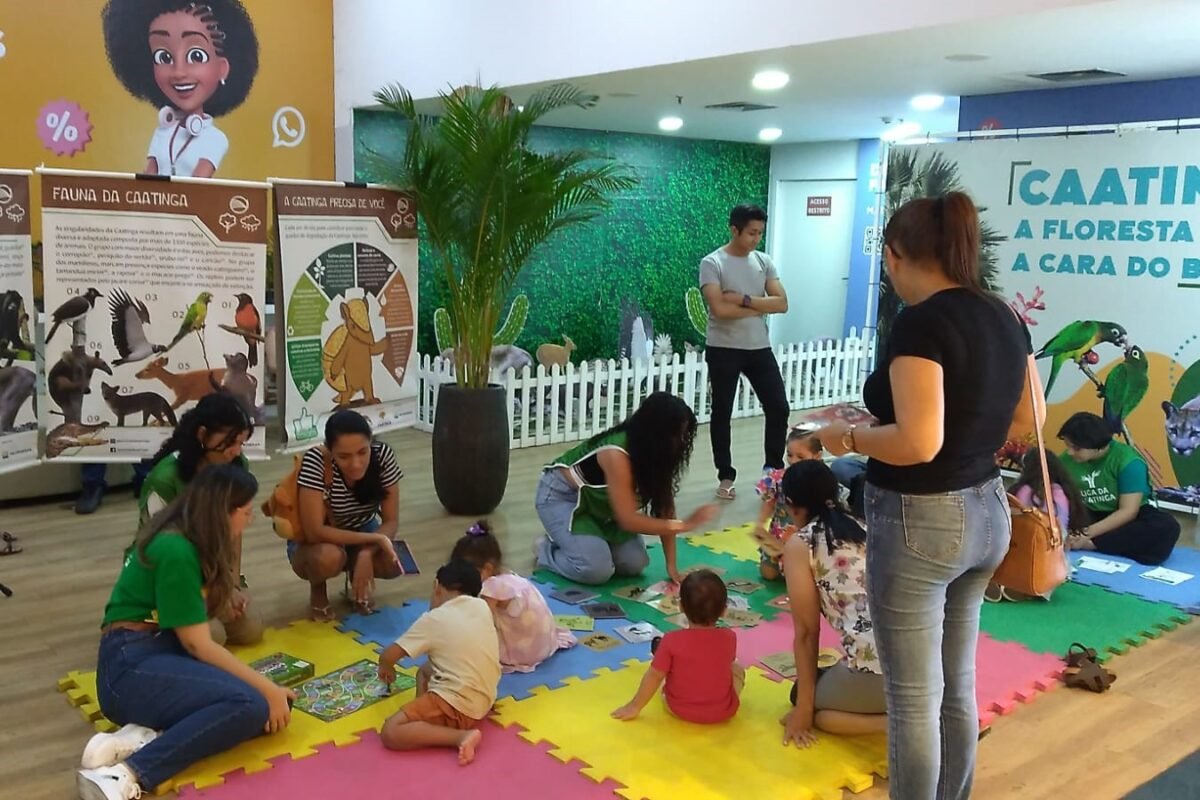 Associação Caatinga promove exposição gratuita sobre a caatinga com atividades recreativas para crianças