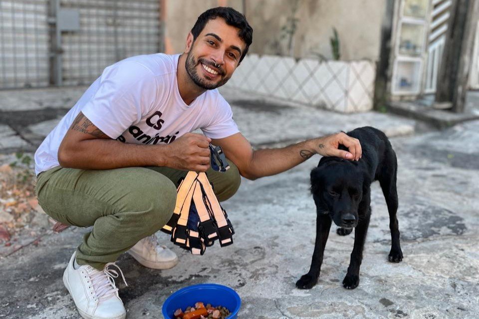 Cães de rua recebem coleiras reflexivas para evitar acidente de trânsito em Fortaleza