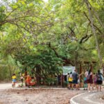 Parque Estadual Botânico do Ceará completa 28 anos de preservação ambiental