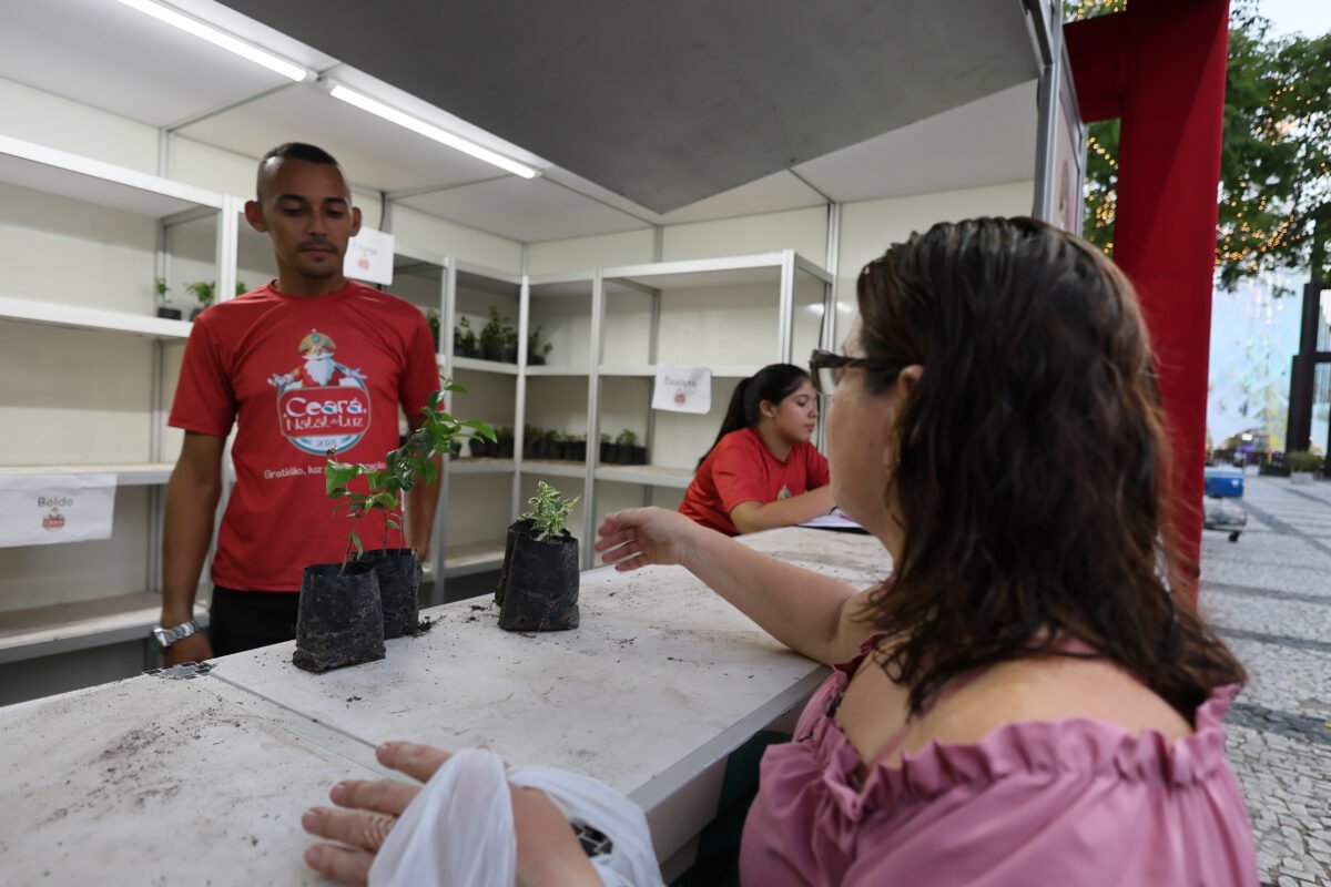 Campanha ambiental é destaque da 28ª Edição do Ceará Natal de Luz