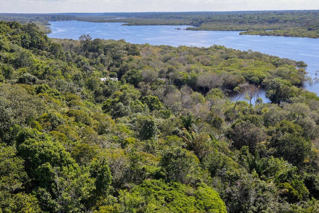 Desmatamento na Amazônia cai 30,6% em um ano