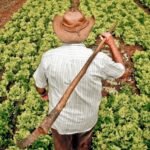 Homenagem: Histórias de sucesso de agricultores e microempreendedores do Ceará serão premiadas pelo BNB