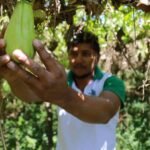 Ceará Sem Fome impulsiona agricultura familiar na Serra da Ibiapaba