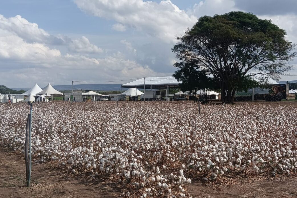 Primeira edição da ExpoCariri reúne tecnologia, inovação e sustentabilidade no Campo em Barbalha