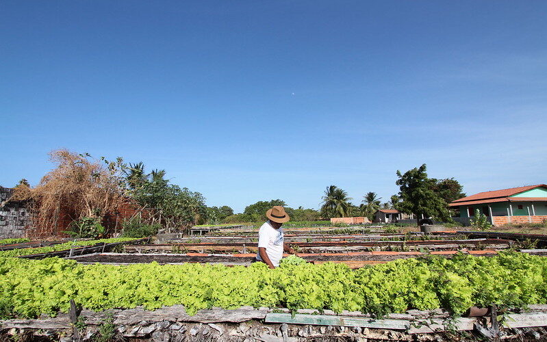 Desenrola Rural pode beneficiar mais de 360 mil agricultores atendidos pelo Banco do Nordeste
