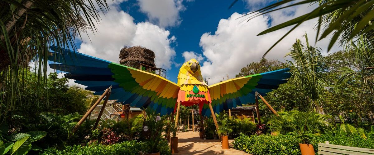 Diversão: Parque Arvorar lança pacotes para festas de aniversário em meio à natureza