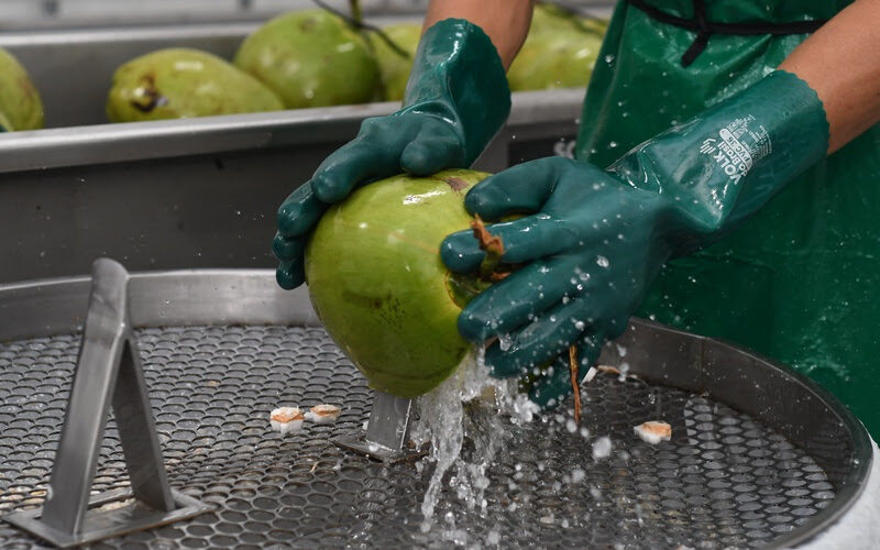 Banco do Nordeste cria FNE Coopera para oferecer crédito a cooperativas