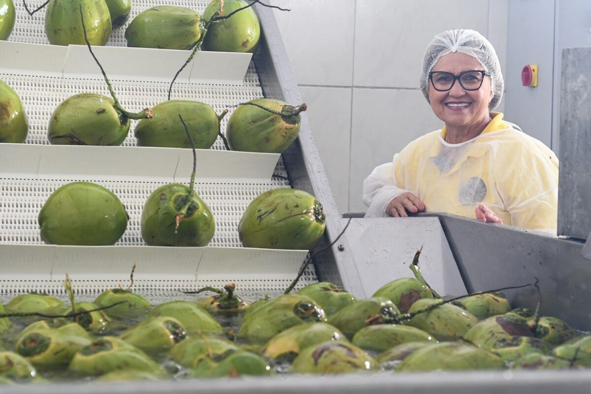 Banco do Nordeste disponibiliza R$ 252,5 milhões para inovação no Ceará em 2025