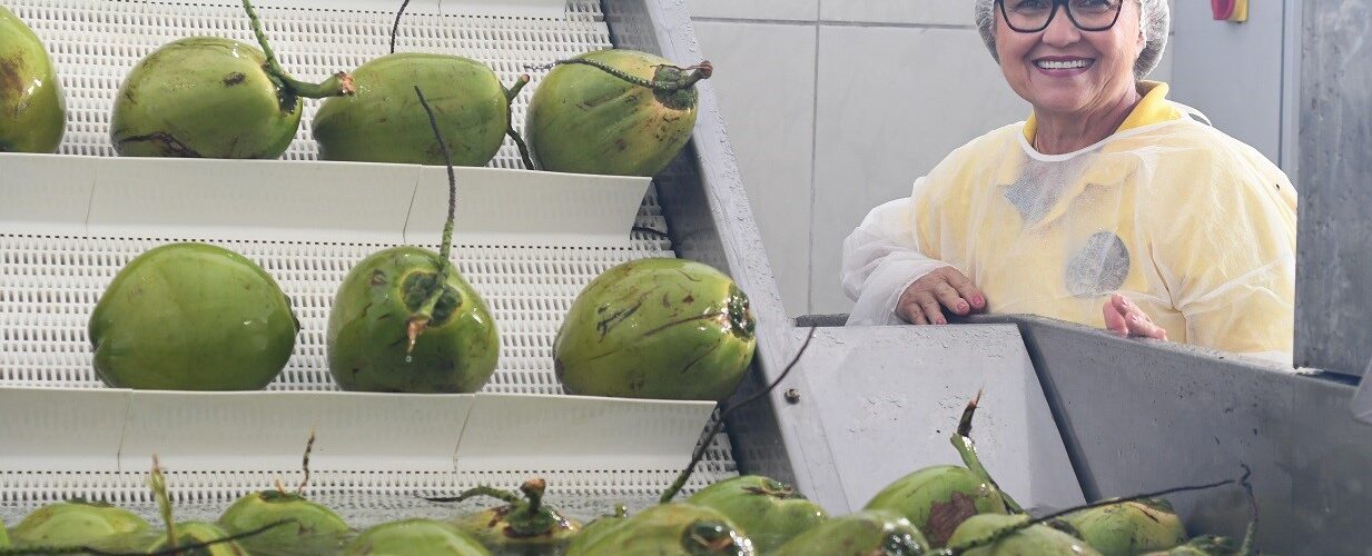 Banco do Nordeste disponibiliza R$ 252,5 milhões para inovação no Ceará em 2025