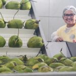 Banco do Nordeste disponibiliza R$ 252,5 milhões para inovação no Ceará em 2025