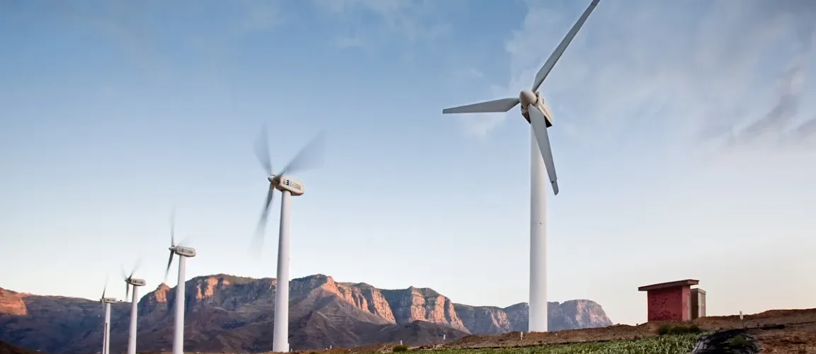 Economia: BNDES aprova R$ 10 bilhões em crédito do Fundo Clima para projetos de sustentabilidade e energia renovável