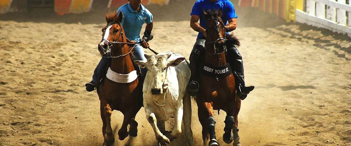 STF valida Emenda Constitucional que autoriza a prática da Vaquejada no Brasil