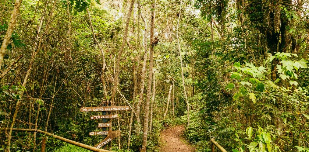 Ecoturismo: São Paulo inaugura maior trilha urbana do Brasil com 182 km de natureza e ecoturismo