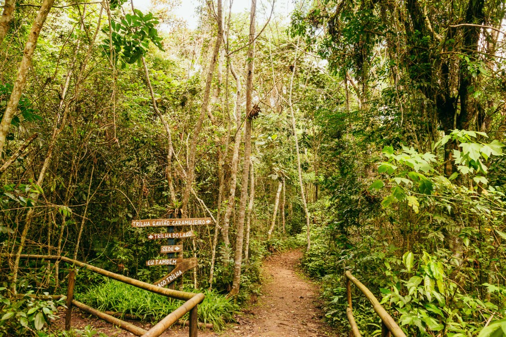 Ecoturismo: São Paulo inaugura maior trilha urbana do Brasil com 182 km de natureza e ecoturismo