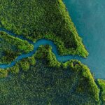 Economia Verde no Brasil: Climate Ventures lança estudos inéditos sobre inovação e justiça climática