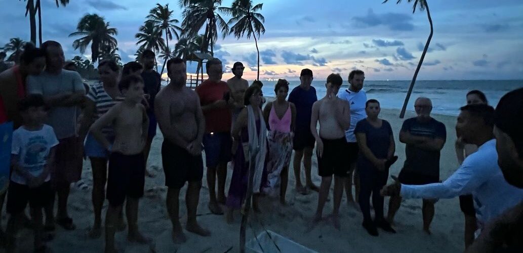 Natureza: Tartarugas marinhas nascem na Praia do Cumbuco e encantam moradores