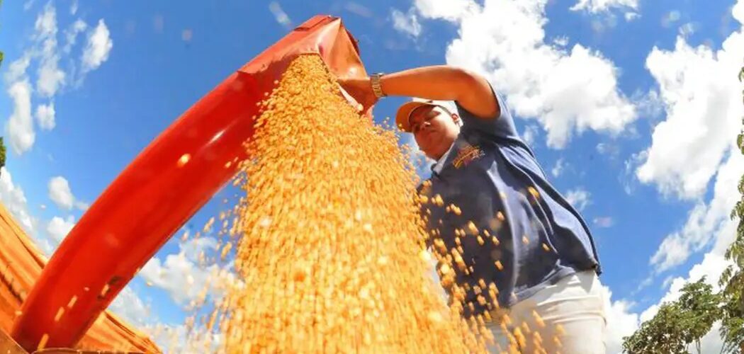 BNDES libera R$ 29,7 bilhões para o Plano Safra 2024/2025 e projeta apoio recorde ao agronegócio