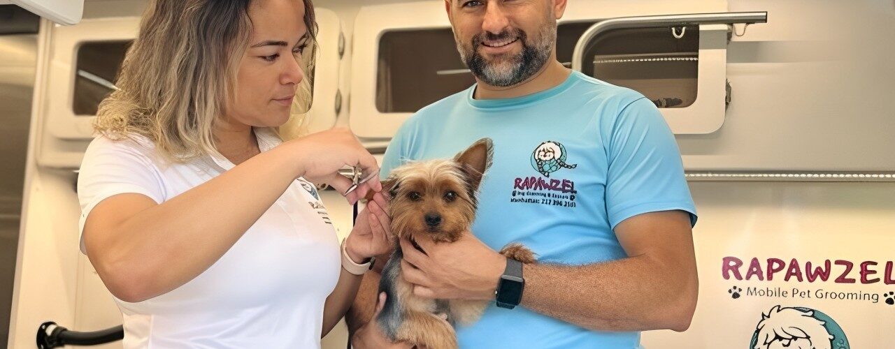 Negócios: Cearense de sucesso no Mercado Pet dos EUA ministra palestra em Fortaleza