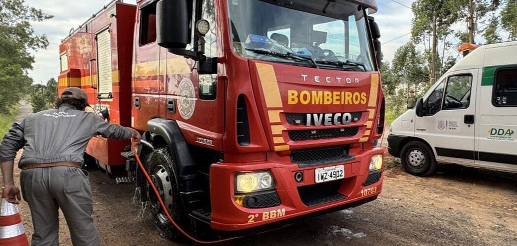 Gripe aviária: RS instala barreiras sanitárias em Montenegro após confirmação de foco do vírus