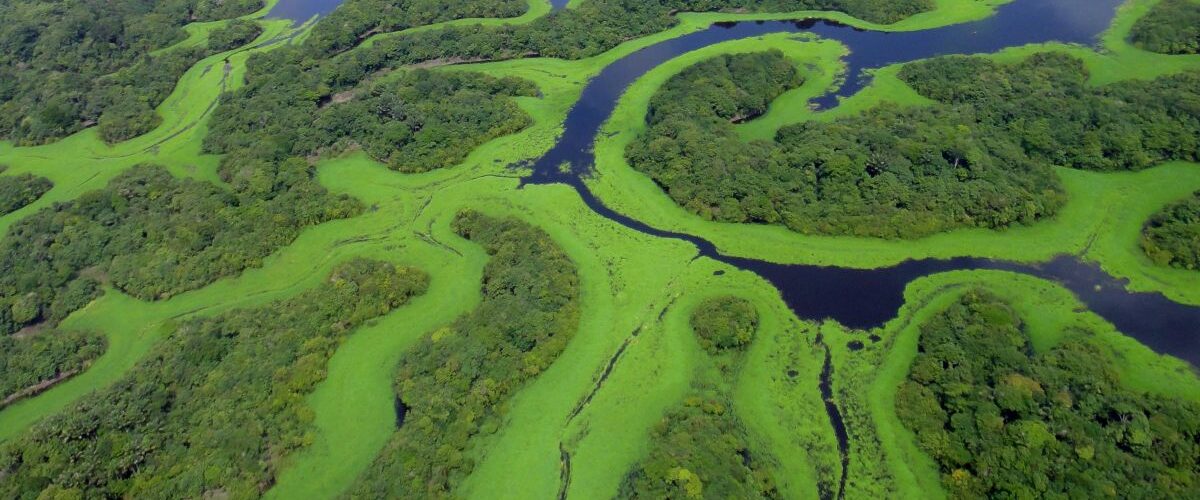 Ecoturismo: Patrimônios Naturais do Brasil reconhecidos pela Unesco promovem ecoturismo e turismo responsável