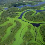 Ecoturismo: Patrimônios Naturais do Brasil reconhecidos pela Unesco promovem ecoturismo e turismo responsável