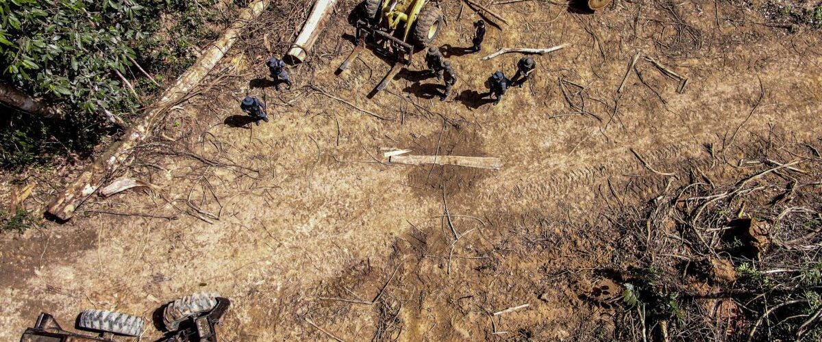 Opinião: A liderança do Brasil em questões ambientais e suas contradições