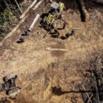 Opinião: A liderança do Brasil em questões ambientais e suas contradições