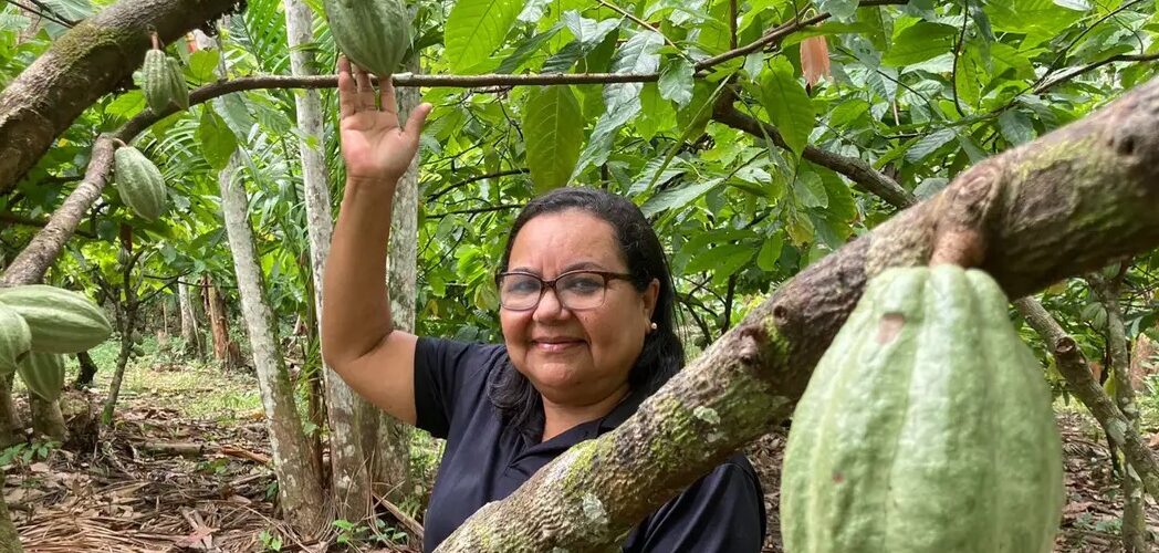 Meio Ambiente: Potencial para bioeconomia atrai investimentos na Amazônia