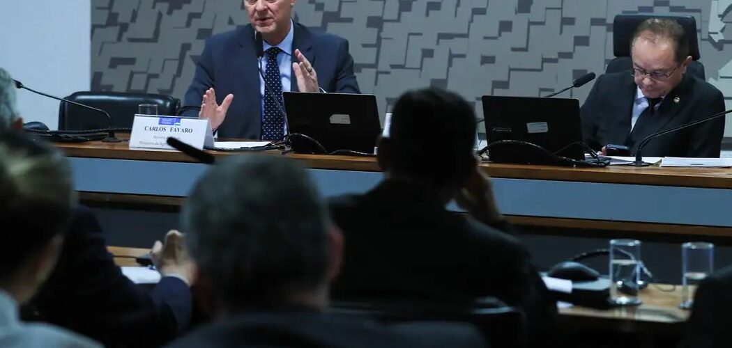 Agronegócio: Foco de gripe aviária no Rio Grande do Sul está contido, afirma ministro da Agricultura