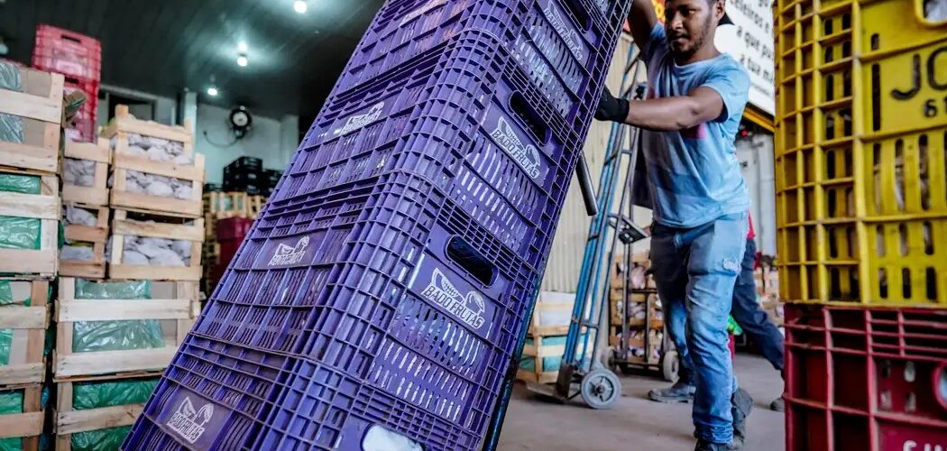 Economia: Rendimento médio dos brasileiros atinge maior valor desde 2012, aponta IBGE