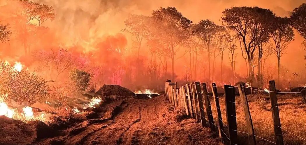 Meio Ambiente: PF lança Operação Incêndios 2025 para combater crimes ambientais na Amazônia e no Pantanal