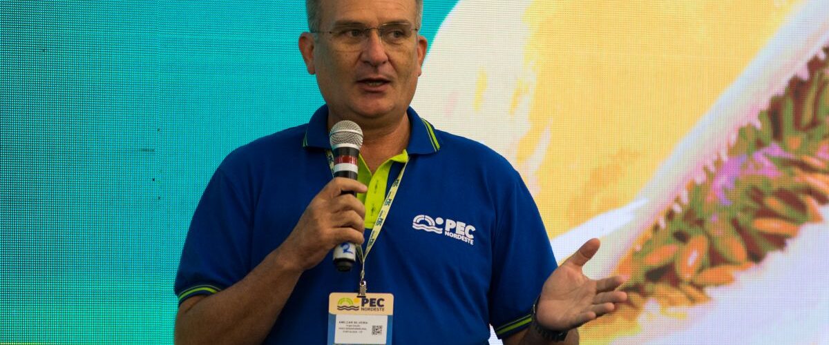 Agro: Agropecuária puxa crescimento do PIB do Ceará no 1º trimestre de 2025 com alta de 18,43%