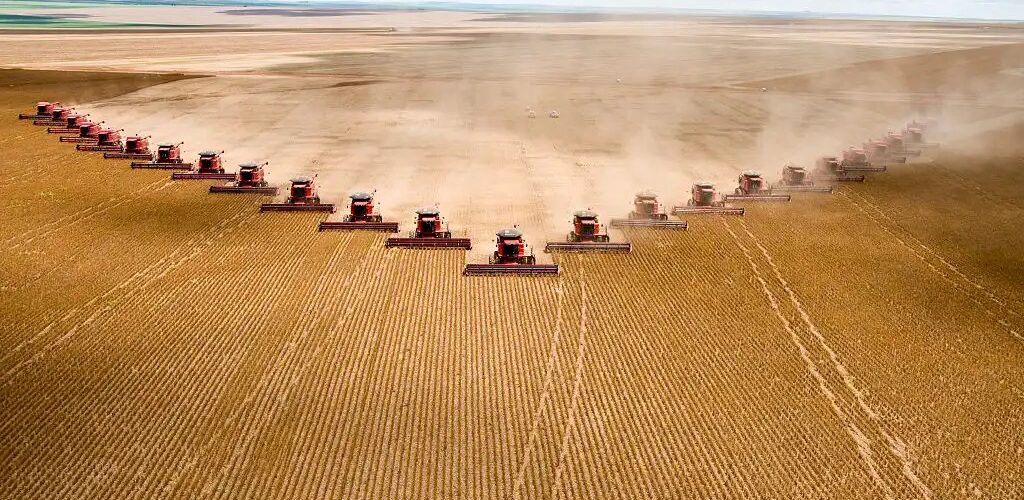 Economia: Boletim Focus eleva PIB para 2,18% em 2025 e mantém Selic em 14,75%