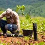 Meio Ambiente: Desertificação ameaça a Caatinga e coloca o futuro do semiárido em risco