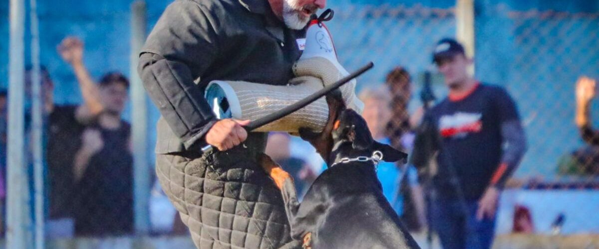 Proteção: Fortaleza sedia seminário sobre cães de guarda com maior especialista em adestramento do Brasil
